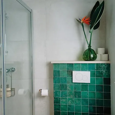 Santa Cruz - 라고스