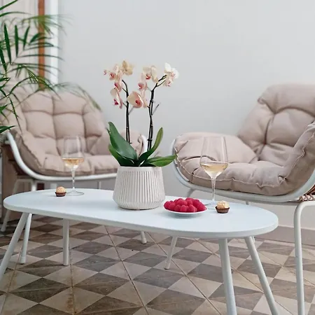 Santa Cruz - * 라고스